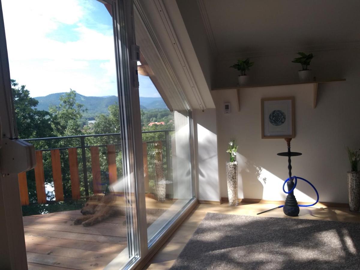 Toelgyerdo Apartman Kismaros Exterior foto